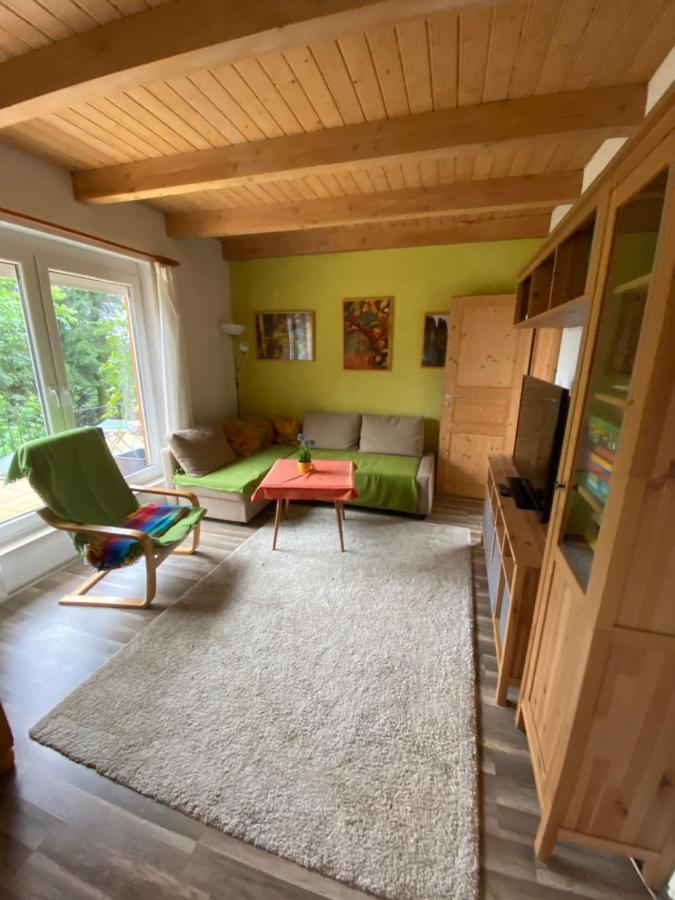 Ferienhaus "Am Bergblick" ゼーブニッツ エクステリア 写真