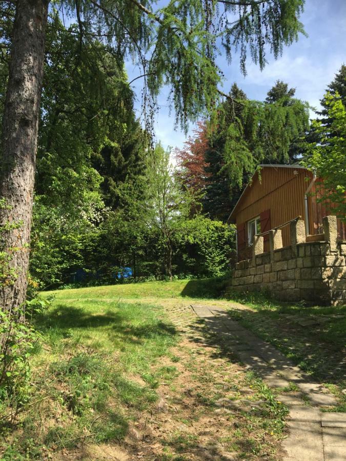 Ferienhaus "Am Bergblick" ゼーブニッツ エクステリア 写真